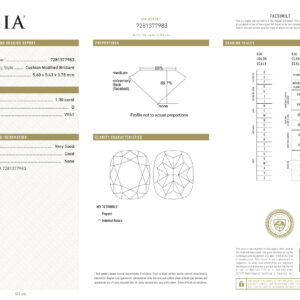 White Gold Mix Cut Diamond Earrings - 2.72ct-6020