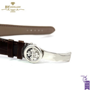 Patek Philippe Grand Complications Perpetual Calendar Platinum {DISCONTINUED}- ref 5496P-015-16035