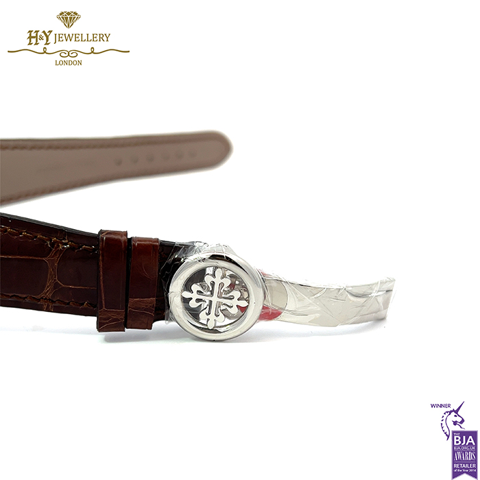 Patek Philippe Grand Complications Perpetual Calendar Platinum {DISCONTINUED} - ref 5496P-014 -16038