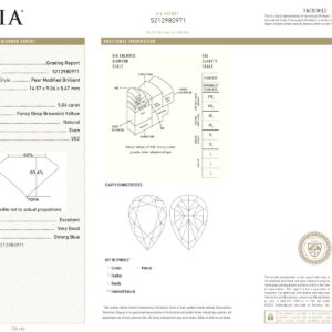 Yellow Gold Pear Cut Fancy Diamond & Mix Cut Yellow Diamond Necklace - 48.80ct-11779