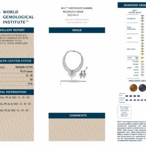 White Gold Mixed Cut Natural Diamonds Set - 79.15ct-11547