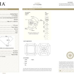 Yellow Gold Radiant & Mix Cut Fancy Yellow Diamond Earrings - 5.83ct-12543