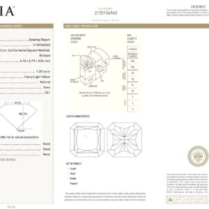 Yellow Gold Radiant & Mix Cut Fancy Yellow Diamond Earrings - 5.83ct-12544